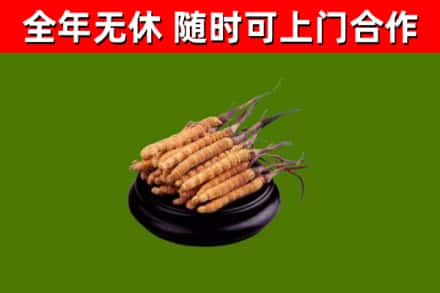 广宗县烟酒回收冬虫夏草.jpg